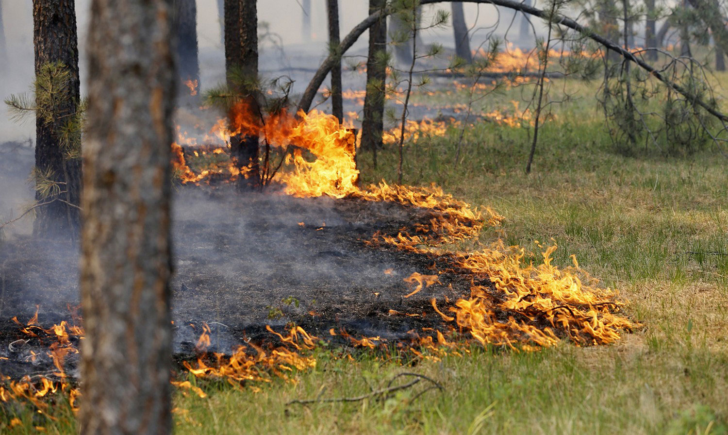 В Якутии установлены 13 человек, причастных к возникновению лесных пожаров