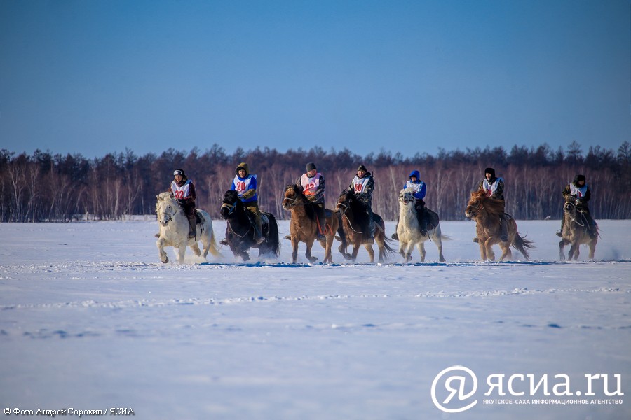 Галопом по снегу: В Намском улусе состоялись скачки якутских лошадей на марафонскую дистанцию