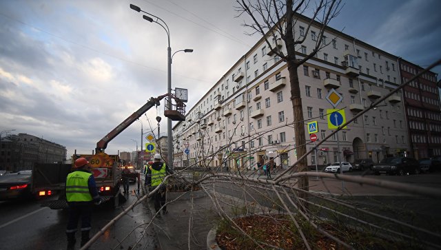 Ураган в Москве: два человека погибли, в том числе ребенок. Идет новая волна непогоды