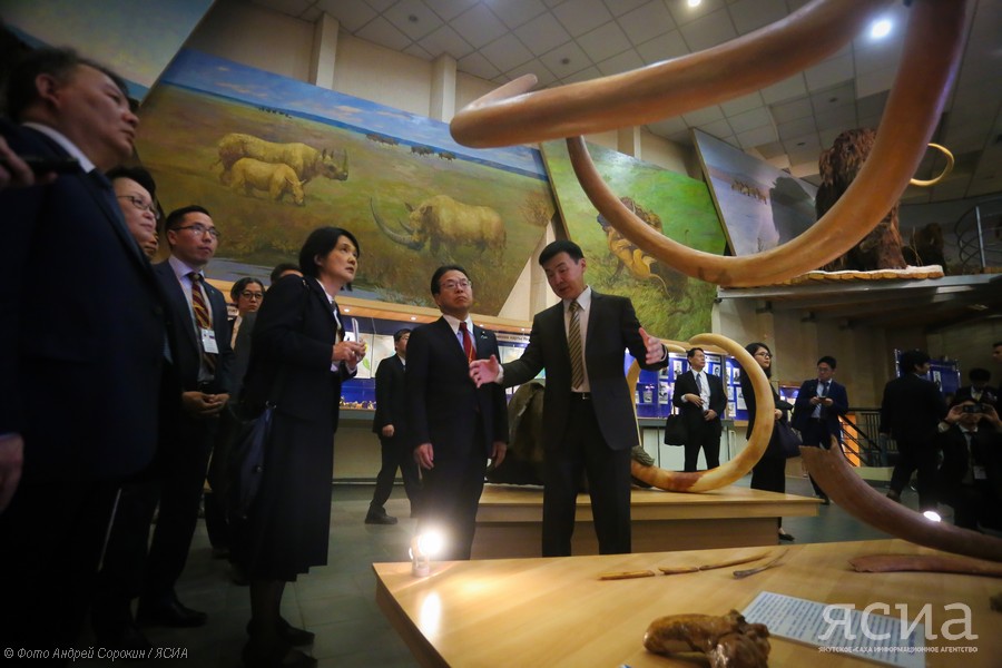 Японской делегации в Музее мамонта показали экспонат, который можно разглядеть только под микроскопом