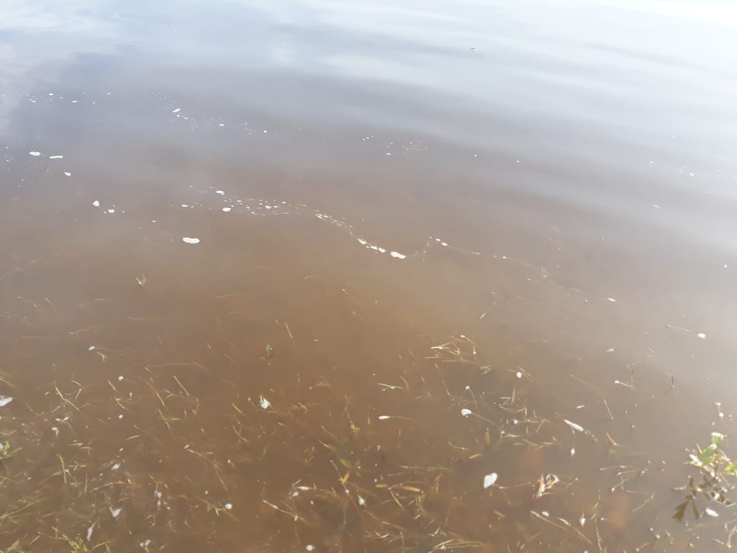 Роспотребнадзор Якутии ведёт мониторинг качества воды в реке Вилюй