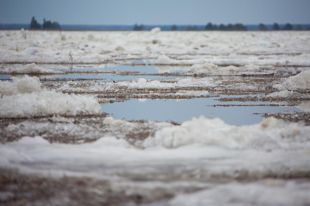 Паводок-2019: На реке Лене у Якутска густой ледоход, уровень воды ниже критического