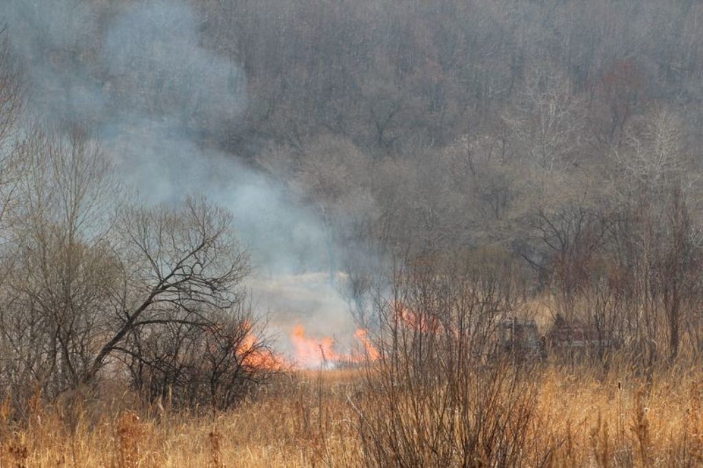 В Усть-Майском районе ликвидировано два лесных пожара