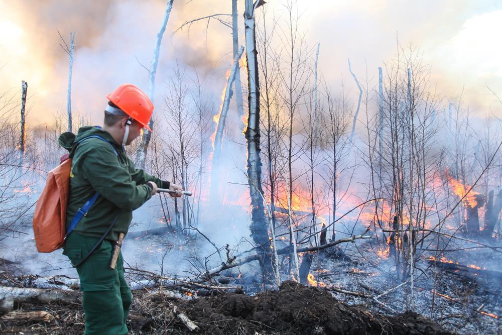 В Якутии дефицит осадков и грозы могут спровоцировать новые лесные пожары