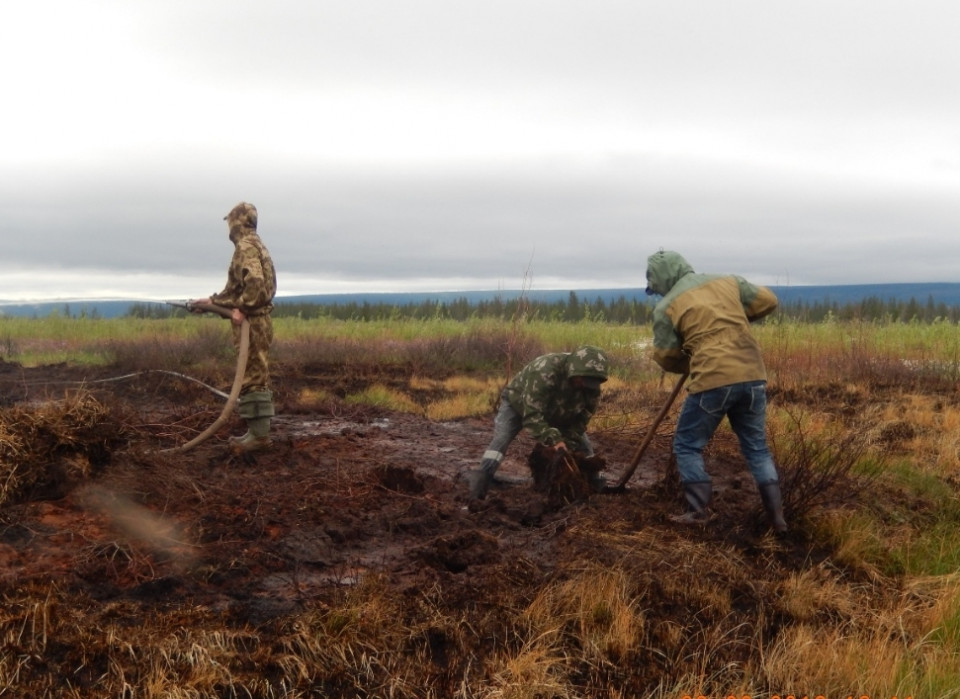В Якутии за сутки ликвидировали 17 лесных пожаров