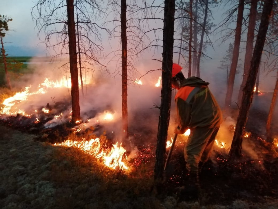 Айсен Николаев о готовности к лесным пожарам: Надеюсь повторения прошлого года не будет
