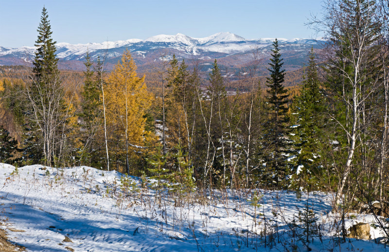 На севере Якутии октябрь будет теплее обычного – Гидрометцентр