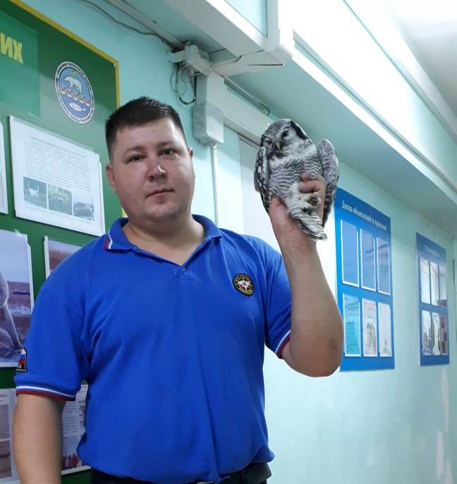 На пандусе пожарной части житель Якутска обнаружил сову