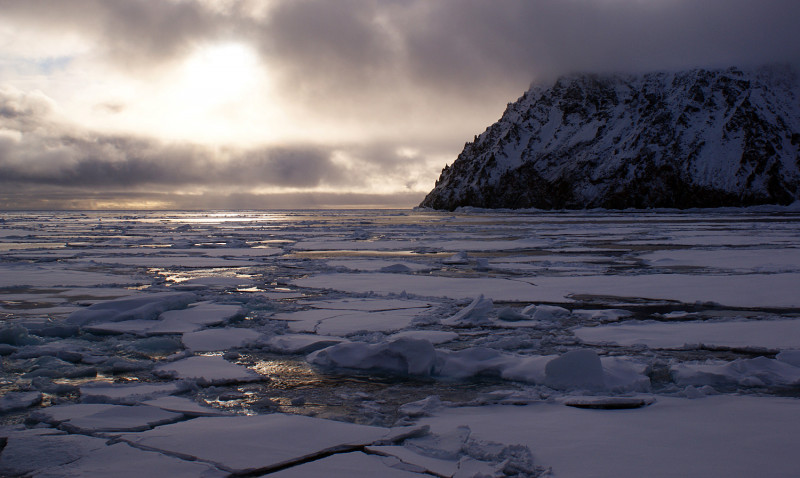 Предположительно теплее обычного ноябрь будет на побережье Якутии — Гидрометцентр