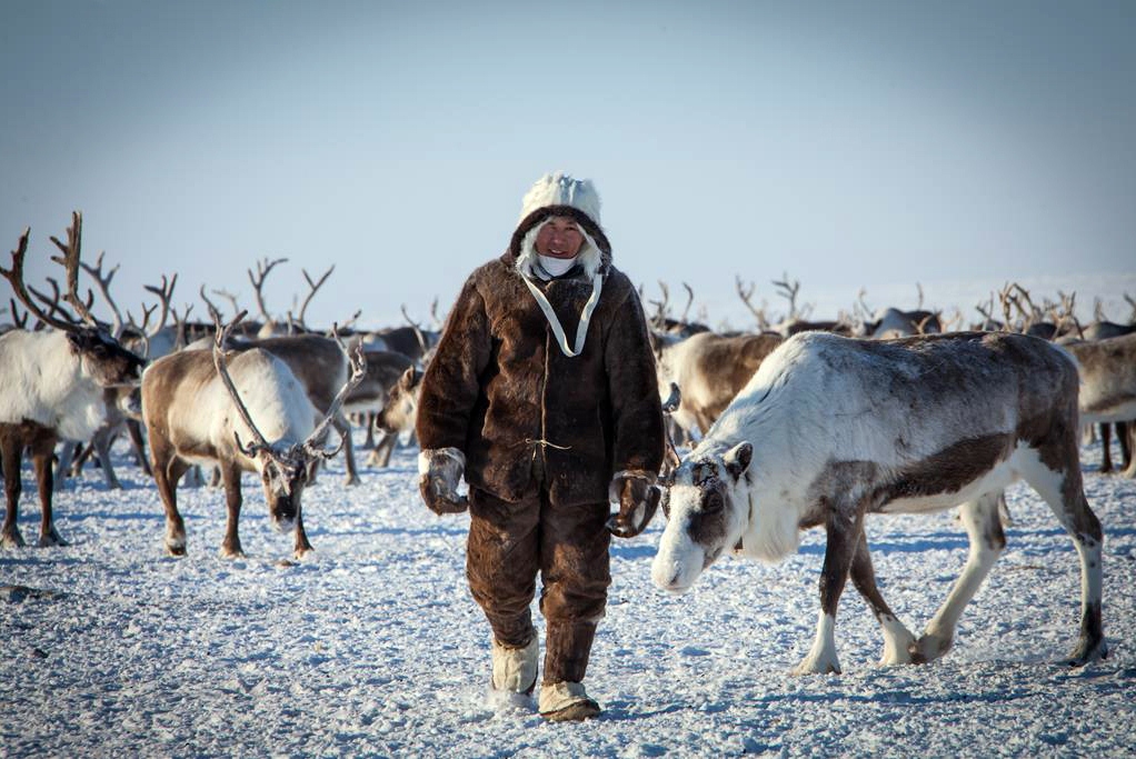 Правительство Якутии направило обращение о сохранении районных коэффициентов и северных надбавок