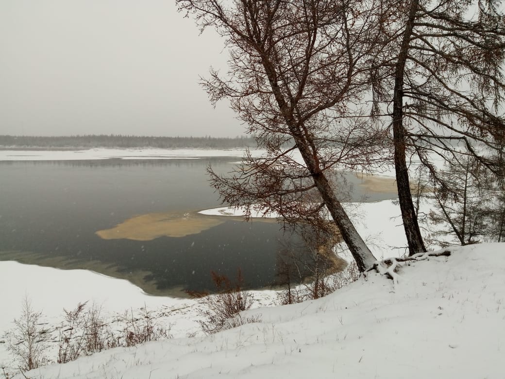 Минэкологии Якутии: На реке Лене произошел сброс подсланевых вод