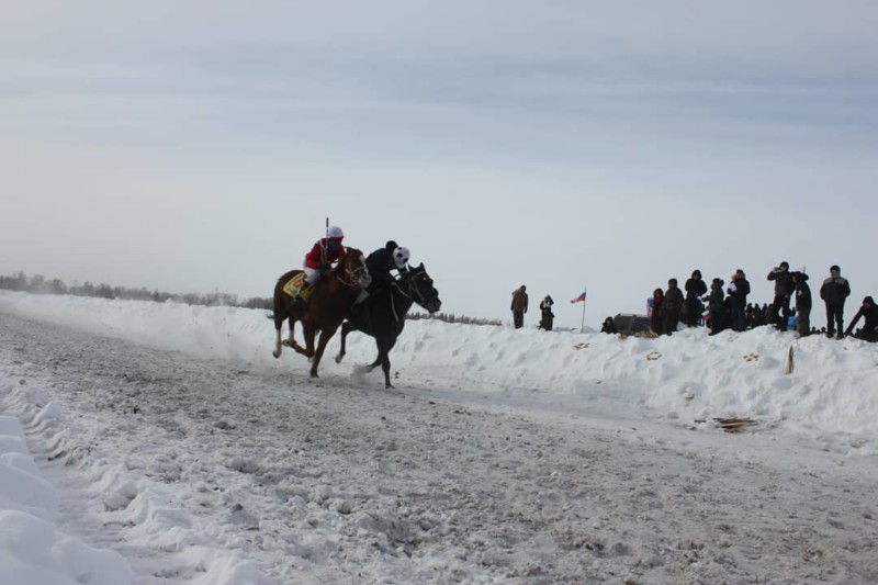 В Якутии дан старт мероприятиям, посвященным Дню коневода-табунщика