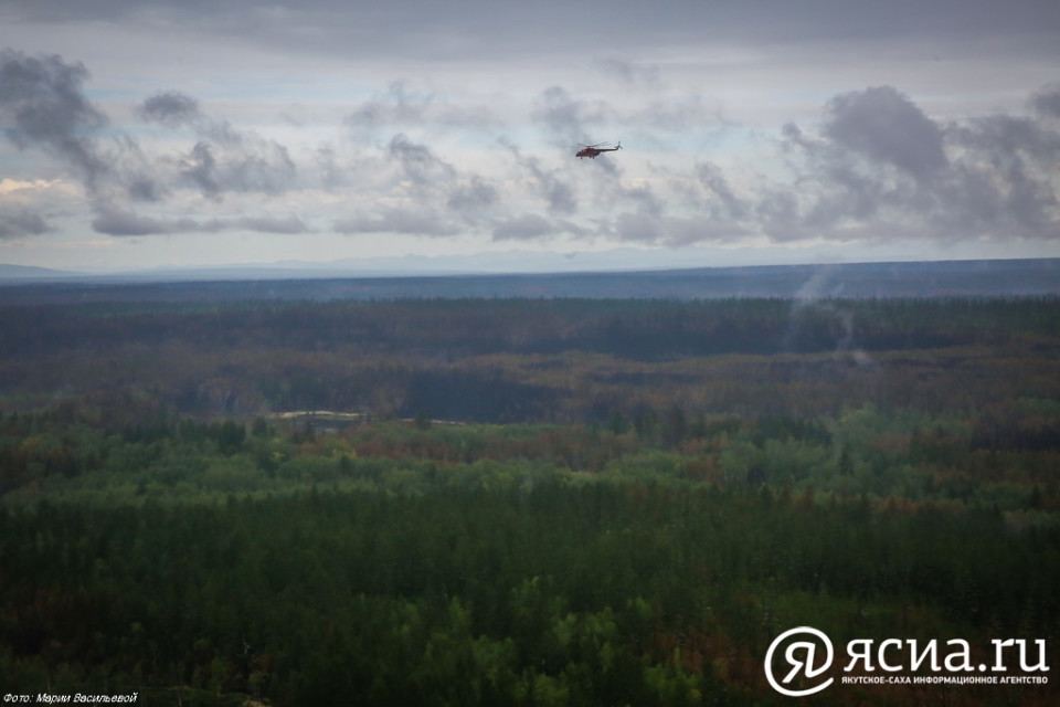 Сводный план, информирование, патрули: В Якутии идет подготовка к пожароопасному сезону в лесах