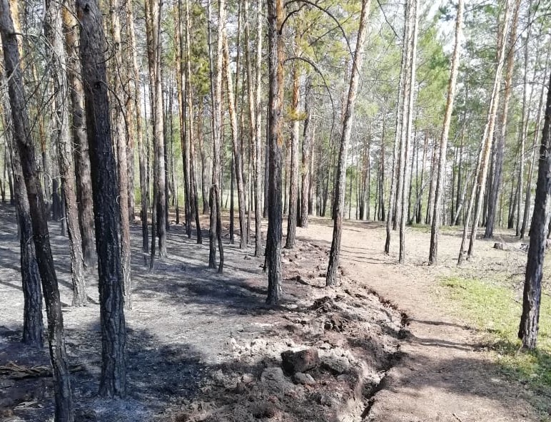 Один лесной пожар тушат в Усть-Майском районе Якутии