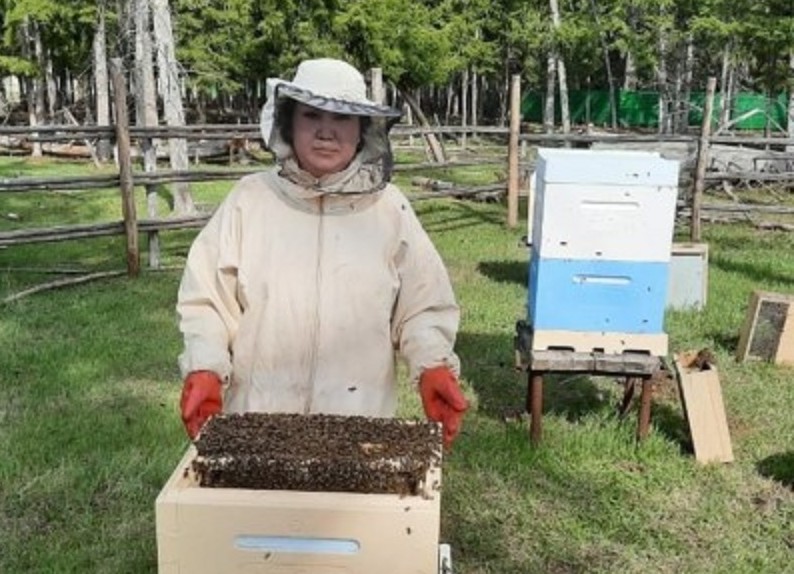 Жительница Вилюйска занялась разведением пчел