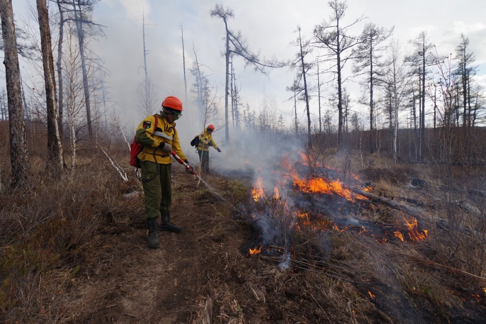 Лесной пожар в Усть-Алданском улусе локализован