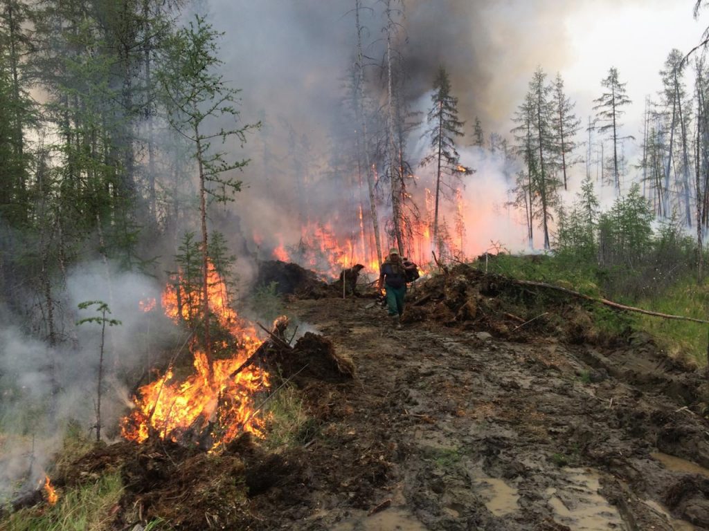 В Якутии из 20 лесных пожаров локализовали 13
