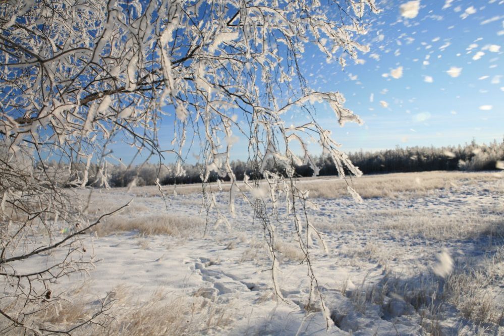 Синоптики прогнозируют снег в некоторых районах Якутии