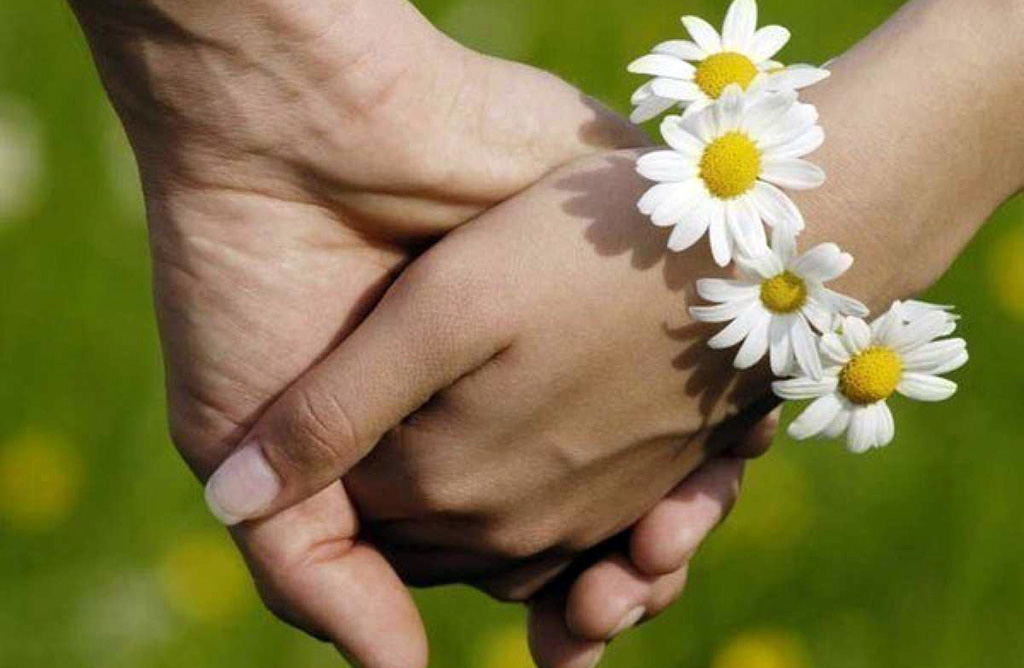 Символом Дня семьи, любви и верности стала ромашка. Этот полевой цветок традиционно используется для любовных гаданий. <br>Фото: Интернет