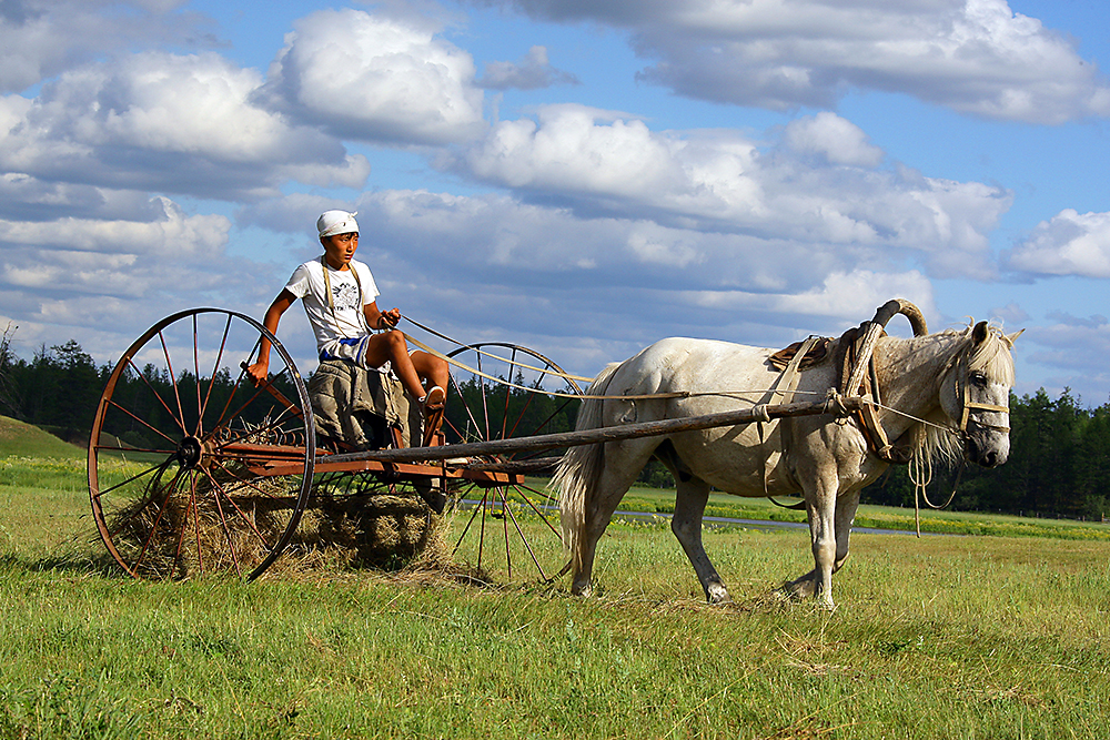 Владимир Солодов: От развития сельского хозяйства зависит качество жизни  якутян — ЯСИА