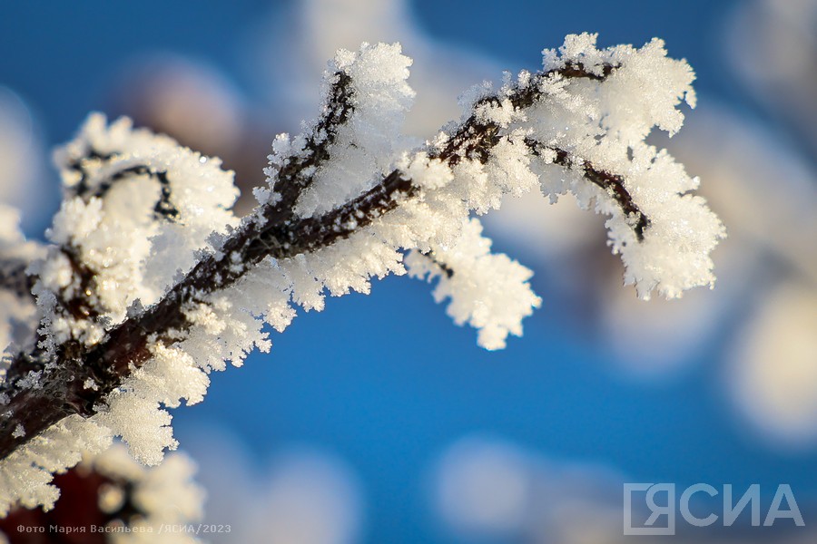 Снег и температура до -1 градуса: прогноз погоды в Якутии на 11 марта