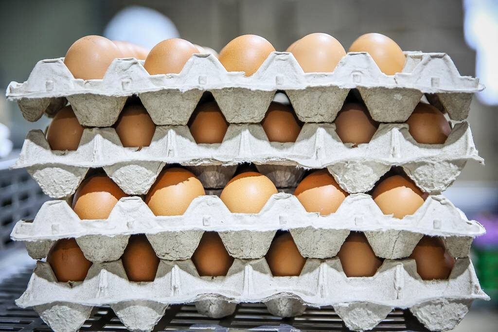 Как правильно выбрать яйца к Пасхе