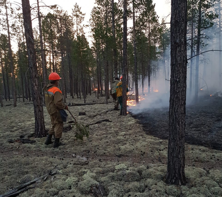 Разведка пожара ведется. Показ в лесу. Экология Якутии. Организация работ от пожаров в Намском улусе. Горный улус более подвержен к лесным пожарам.