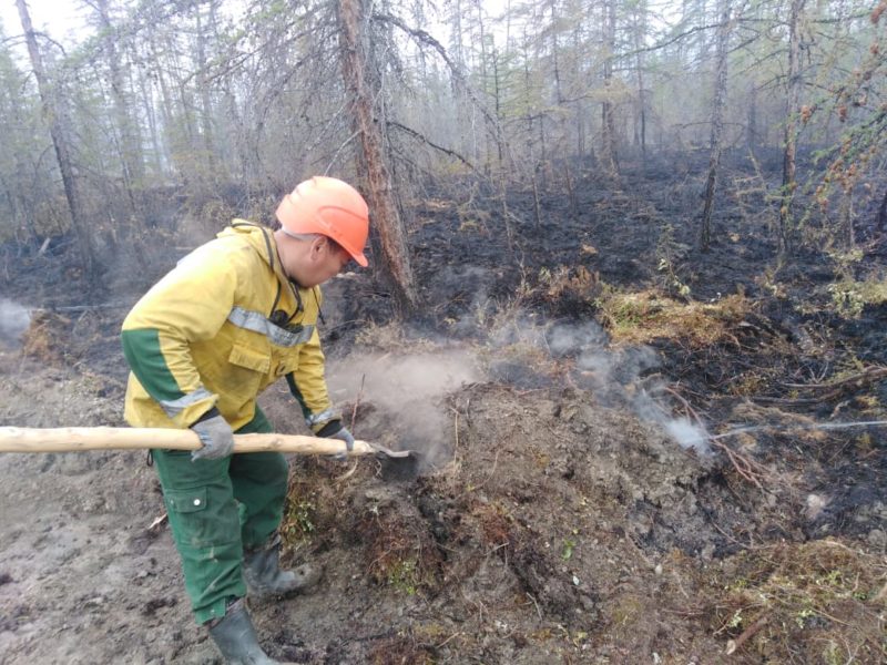 Павел Гарин: Лесопожарная обстановка на территории Якутии стабилизируется