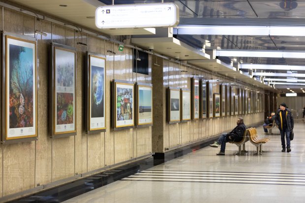 Выставка фотографий "Самая красивая страна" открылась в московском метро