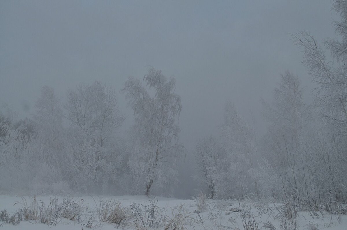 В пяти районах Якутии прогнозируют метель