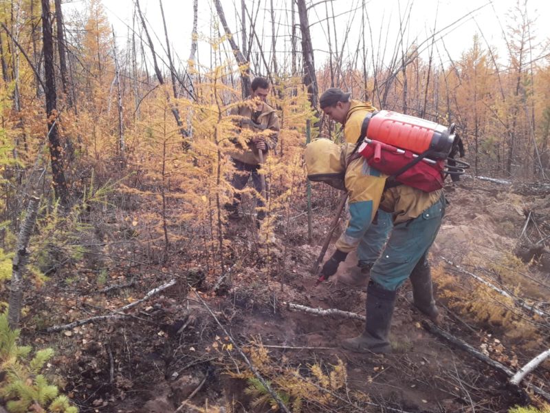 В Якутии тушат восемь лесных пожаров, в Вилюйском районе локализованы два очага