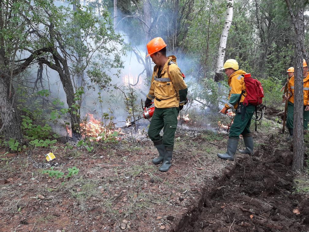 За сутки в Якутии ликвидировано 11 лесных пожаров