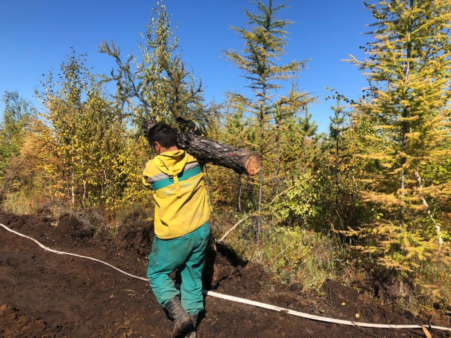 В Якутии ликвидируют семь лесных пожаров