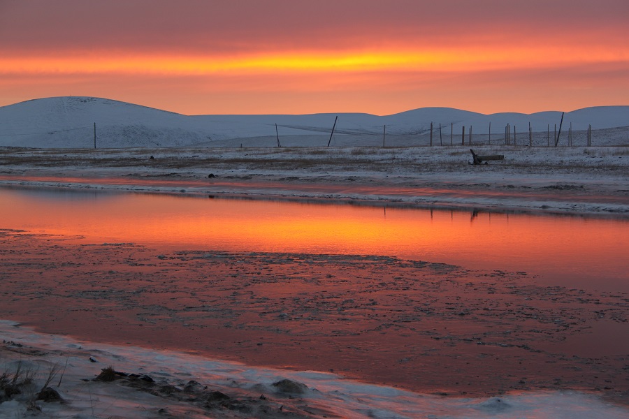 В нескольких арктических регионах России начнут бесплатно предоставлять земли 