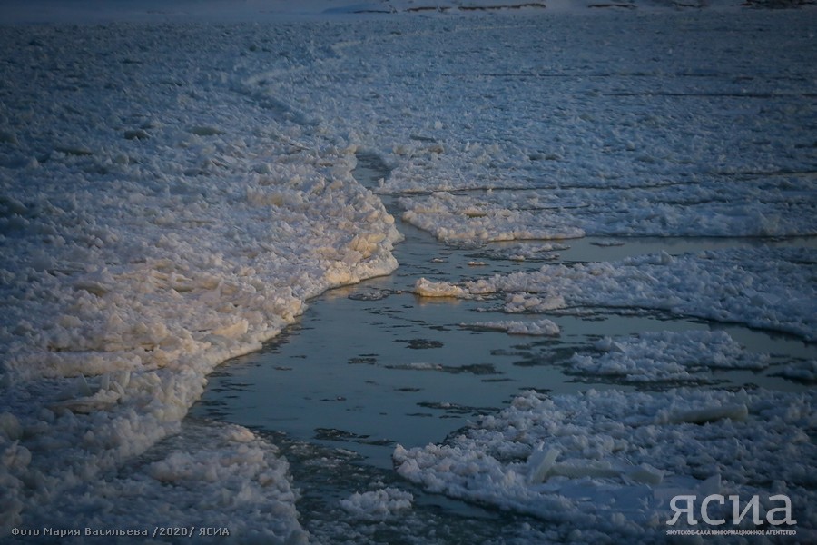 VMS_5779