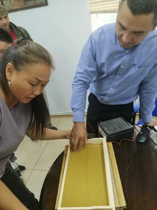 пчеловодство пчеловоды Якутский сельхозтехникум ЯСХТ Амгиснкий улус