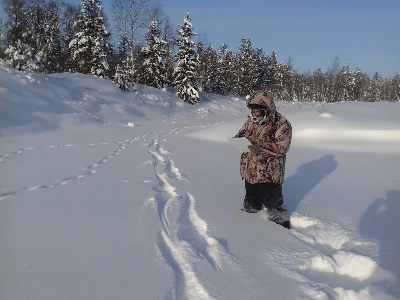 В Якутии завершился сезон охоты на копытных животных и бурого медведя
