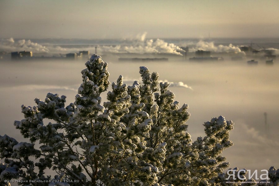 Якутск в декабре. Утро декабрь Якутия. Якутия погода.