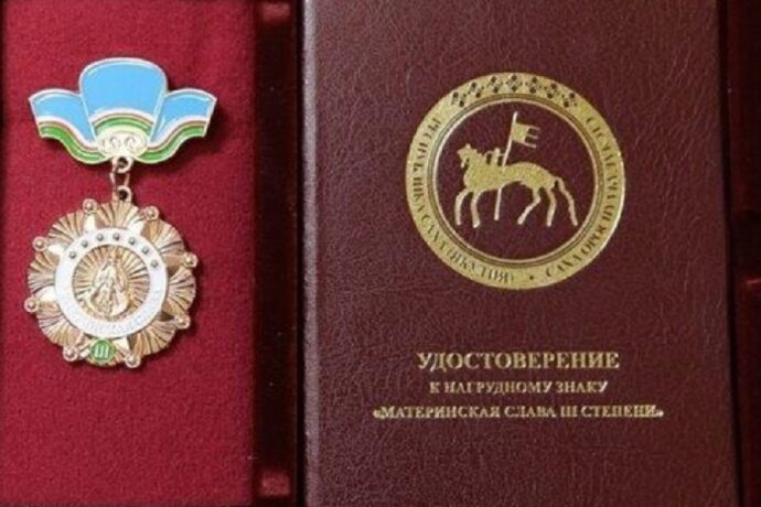 Знаки уважения. Какие государственные награды за воспитание детей есть в Якутии