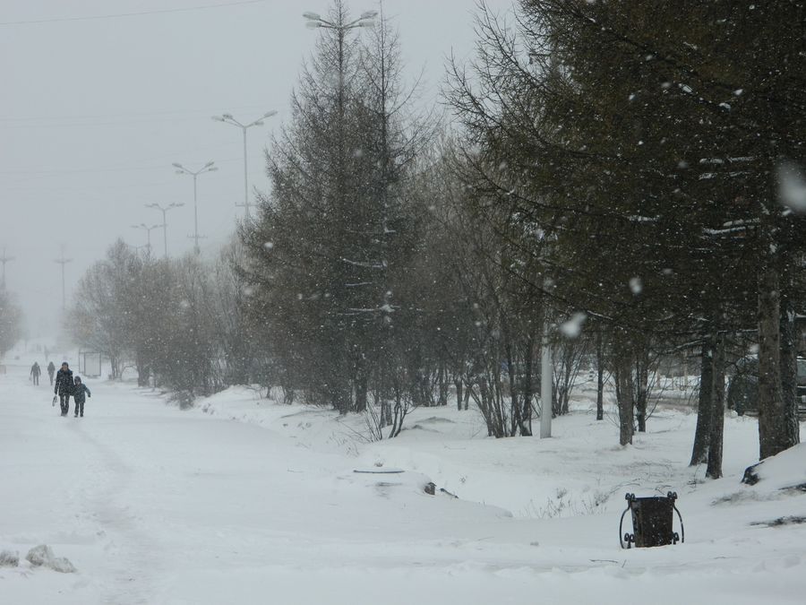 Синоптики прогнозируют сильный снегопад в двух районах Якутии