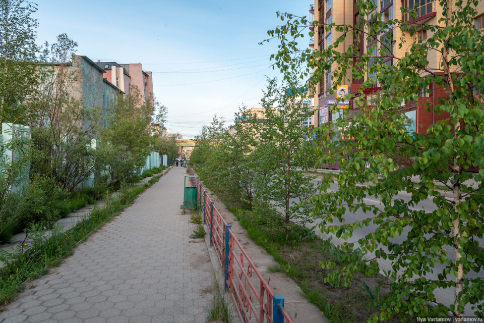 В Якутске разработают стратегию по озеленению города