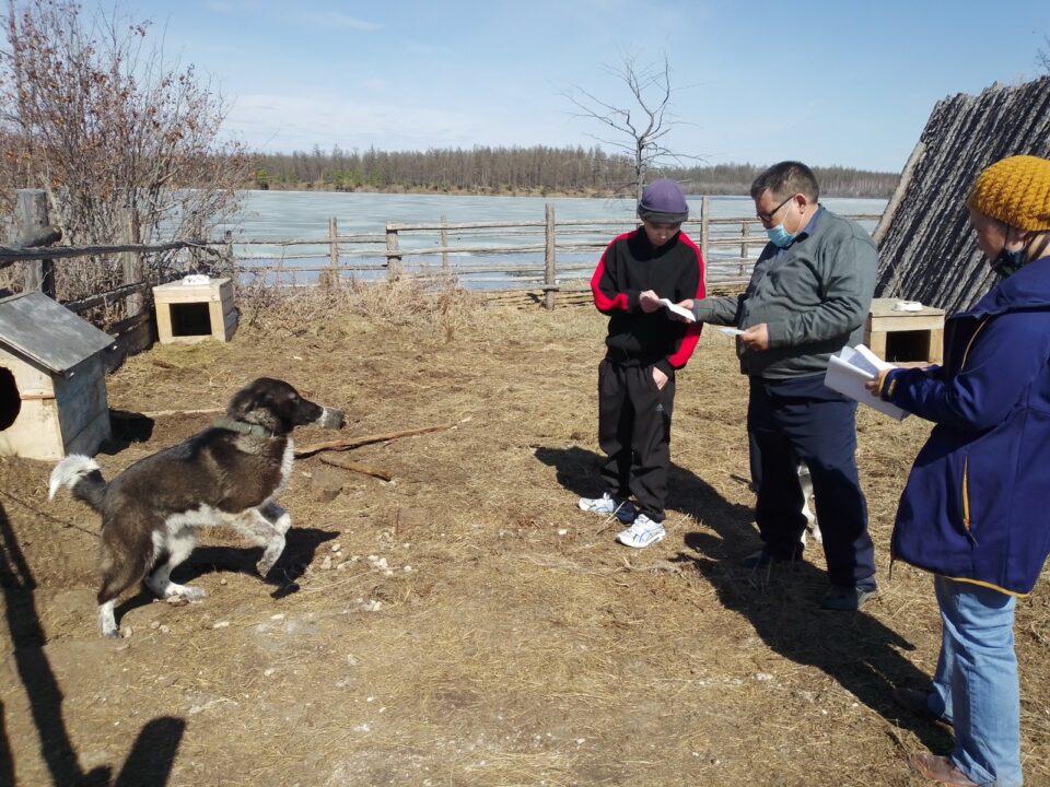 Электронную идентификацию собак проводят в районах Якутии