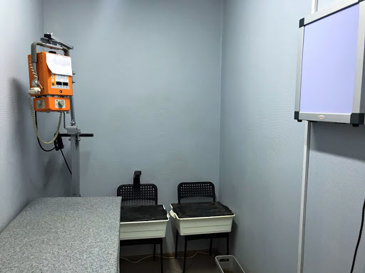В Якутске приостановили деятельность рентген-кабинета ветеринарной клиники