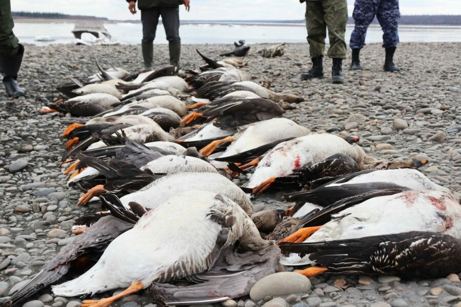 В Якутии у нарушителей правил охоты изъяли добычу и ружья