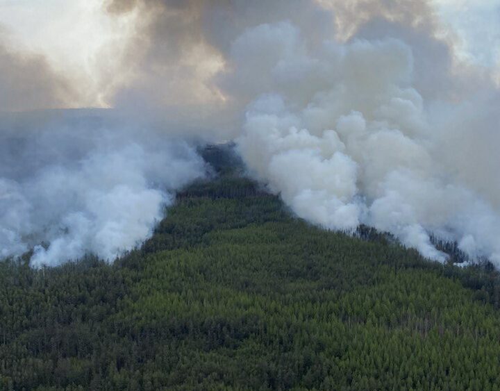 В Якутии тушат четыре лесных пожара, два ликвидировали
