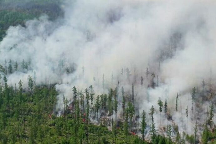 В Якутии за сутки ликвидировано 3 природных пожара
