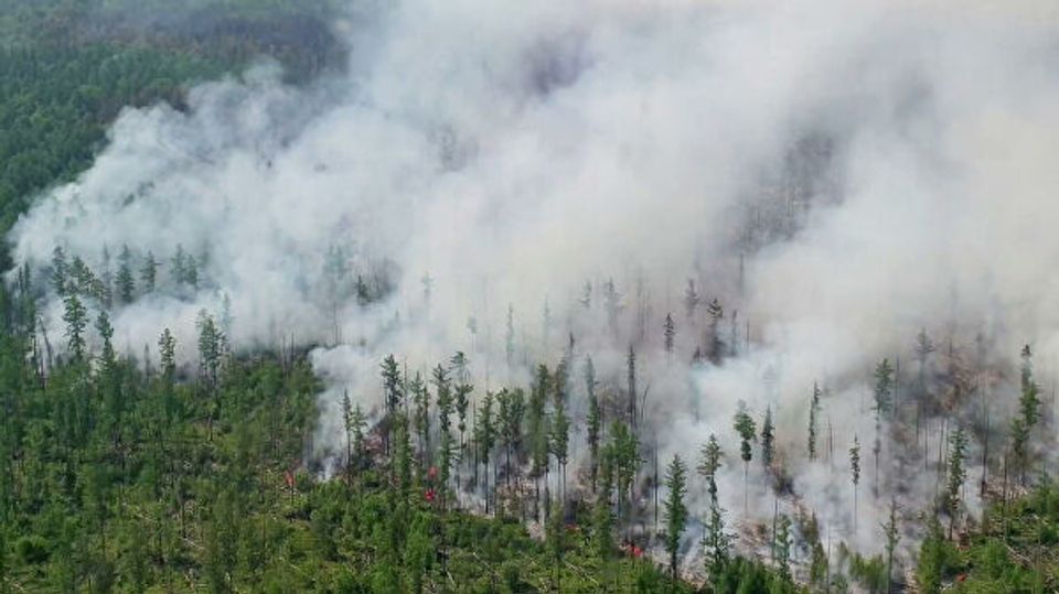 С Хабаровска и Приморья в Якутию направят 170 лесных пожарных