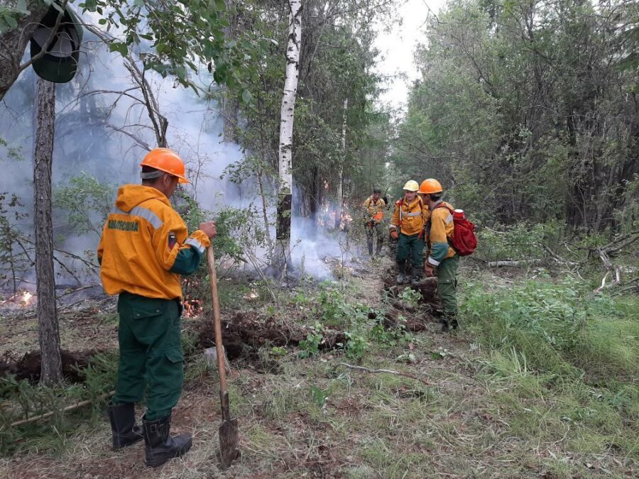 В 21 км от поселка Светлый Мирнинского района тушат лесной пожар