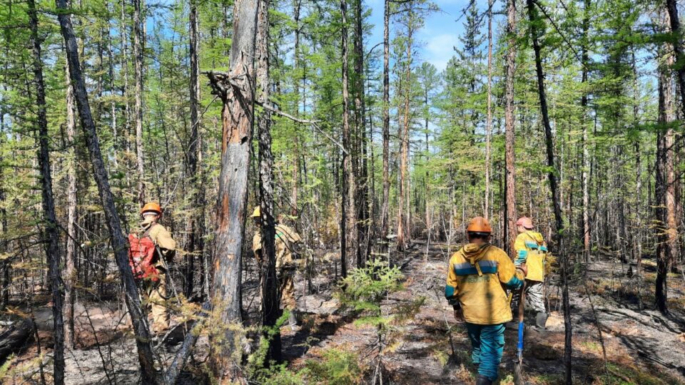 Режим ЧС из-за лесных пожаров действует в четырех районах Якутии