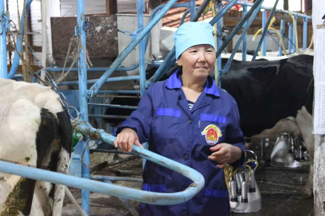 В Олекминском улусе Якутии состоялся конкурс операторов машинного доения